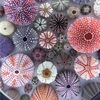 liuminous_